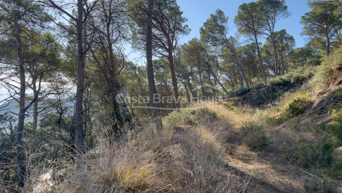 Plot with sea views in Aiguablava Begur