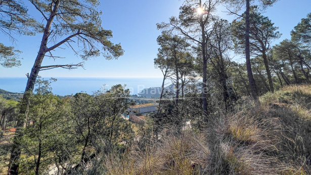 Plot with sea views in Aiguablava Begur