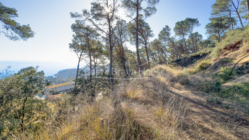 Plot with sea views in Aiguablava Begur