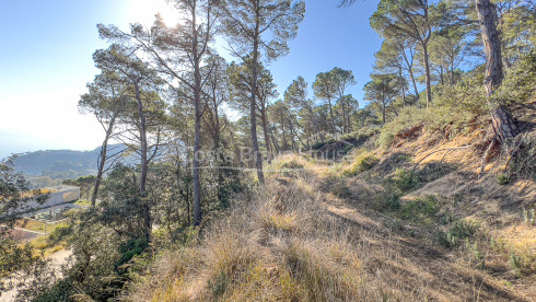 Plot with sea views in Aiguablava Begur