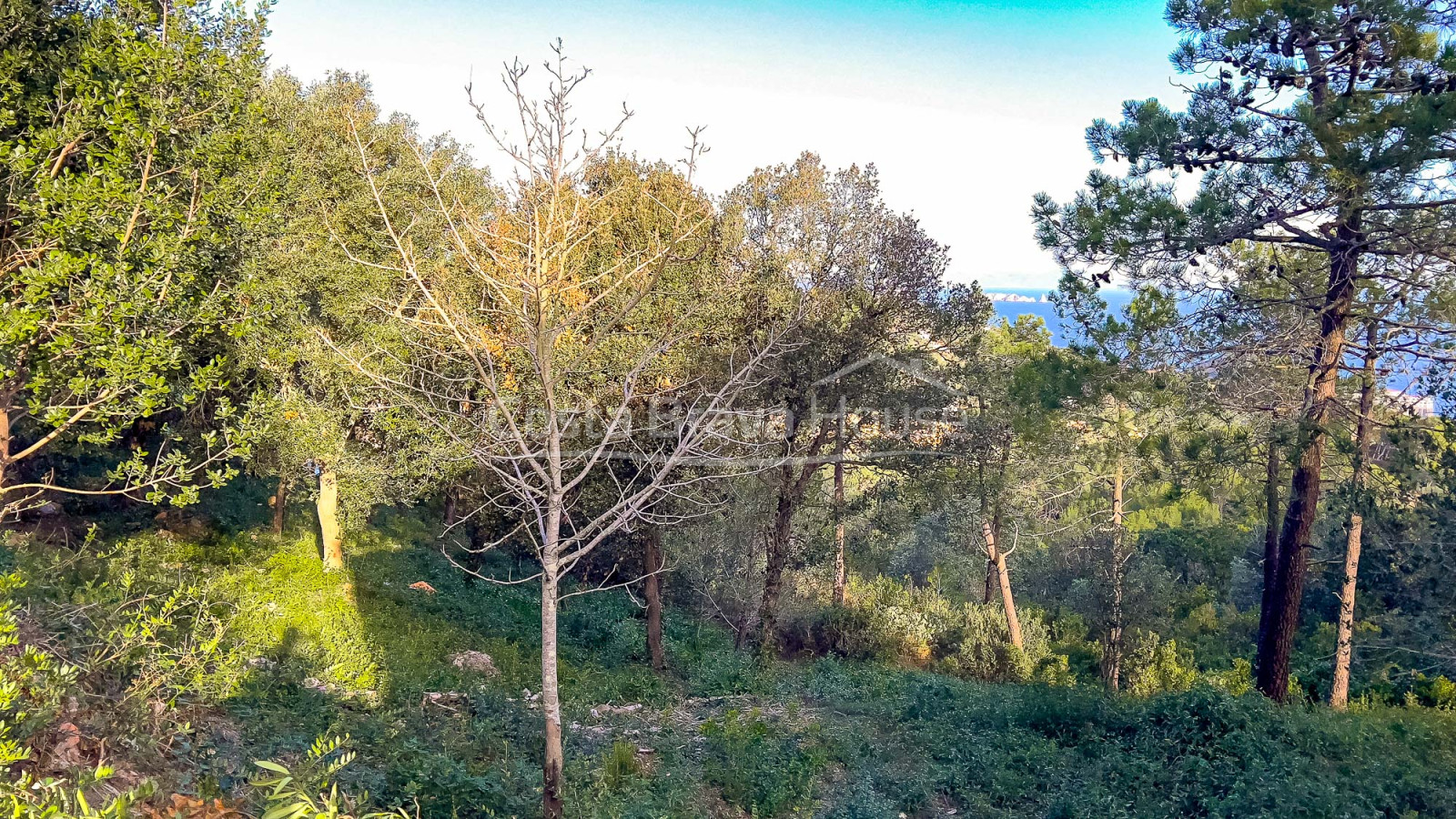 Terreno con vista mar en venta en Begur La Borna