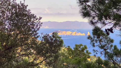 Terreny amb vista mar en venda a Begur La Borna