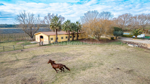 Propiedad ecuestre en venta en la zona de Pals