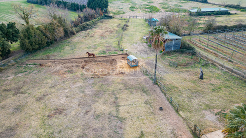 Propiedad ecuestre en venta en la zona de Pals