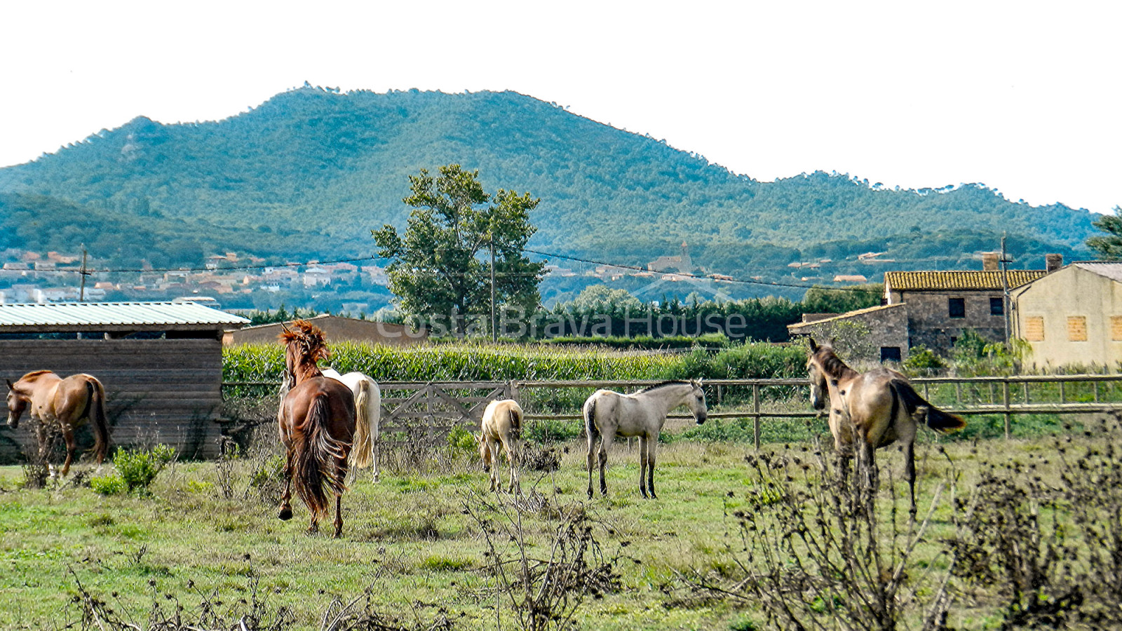 Propiedad ecuestre en venta en la zona de Pals