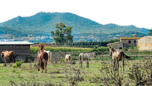 Propiedad ecuestre en venta en la zona de Pals