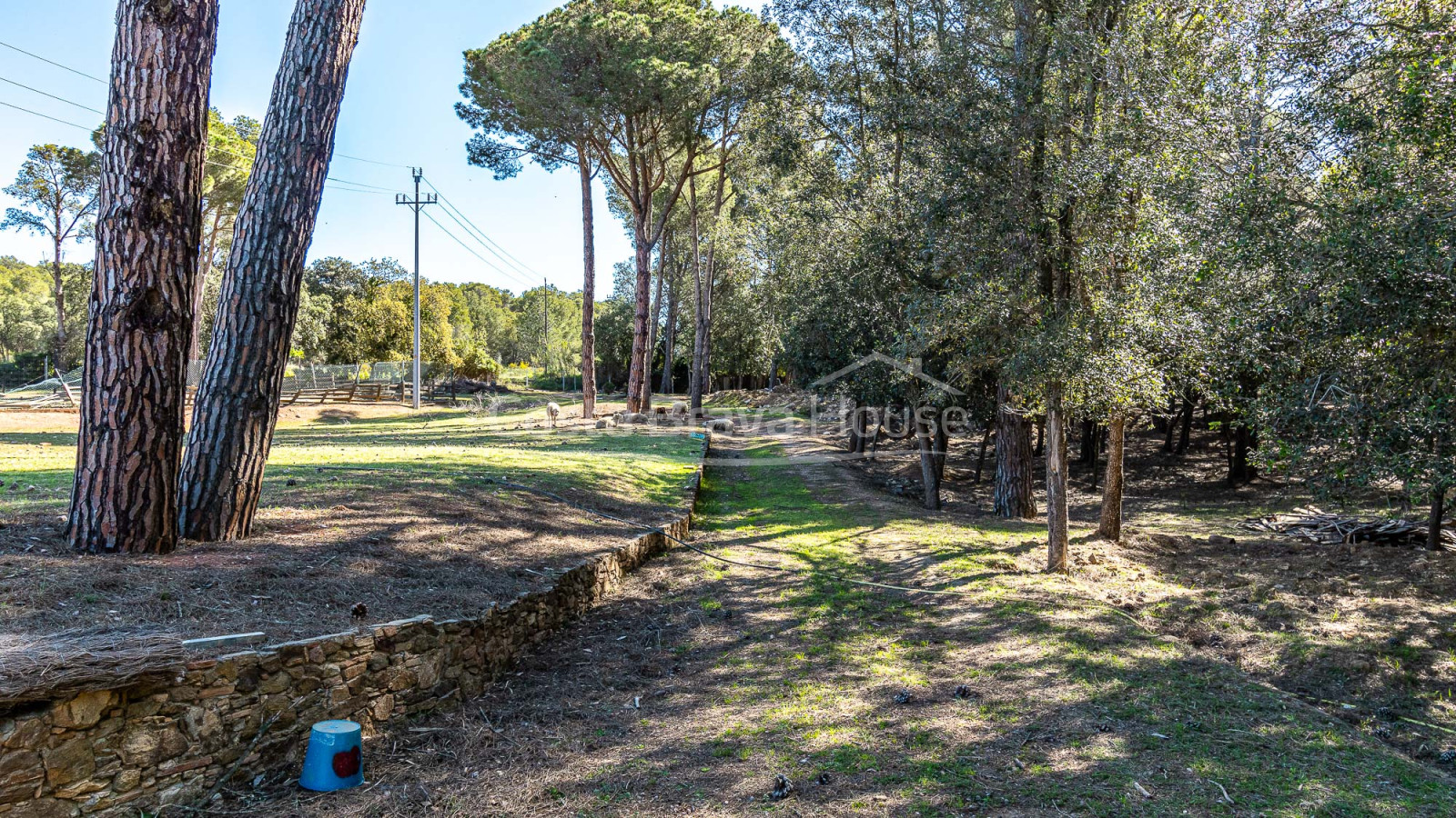 Landgoed te koop tussen Esclanyà en Begur met een landhuis (masia) in aanbouw