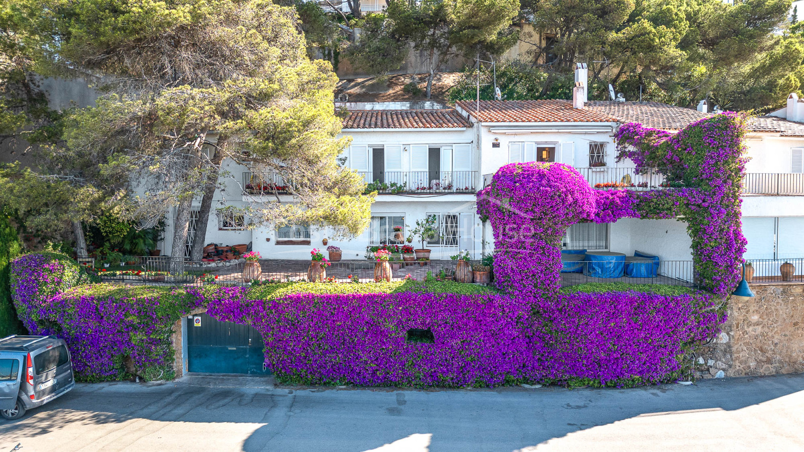 House on the seafront in l'Estartit