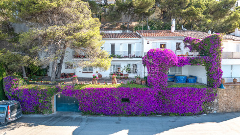 House on the seafront in l'Estartit