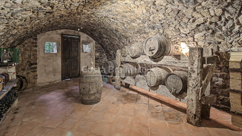 Historische boerderij in Sant Gregori met een landgoed van 9 hectare, middeleeuwse architectuur en volledige privacy